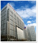 国家开发投资公司及下属